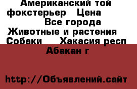 Американский той фокстерьер › Цена ­ 25 000 - Все города Животные и растения » Собаки   . Хакасия респ.,Абакан г.
